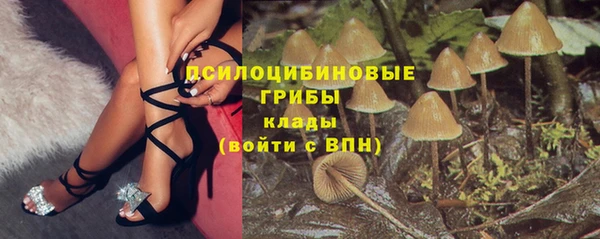 хмурый Михайлов