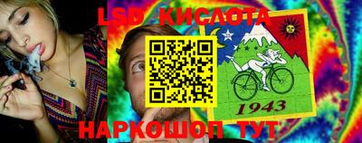 сатива Коммунар