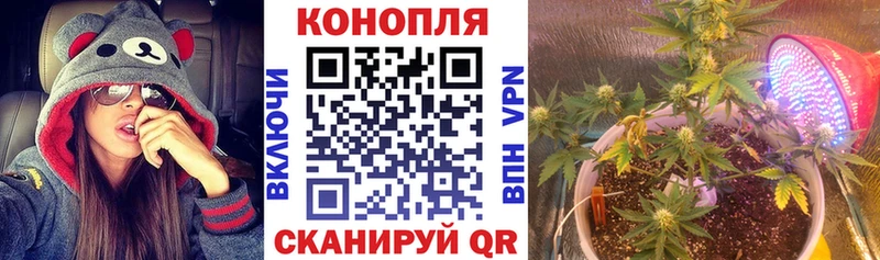 Шишки марихуана White Widow  Усть-Джегута 